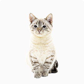 Photo: Cat Freddie